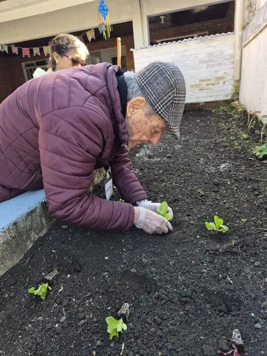 Senhor de boina plantando mudas de alface no canteiro da horta, acompanhado por uma cuidadora